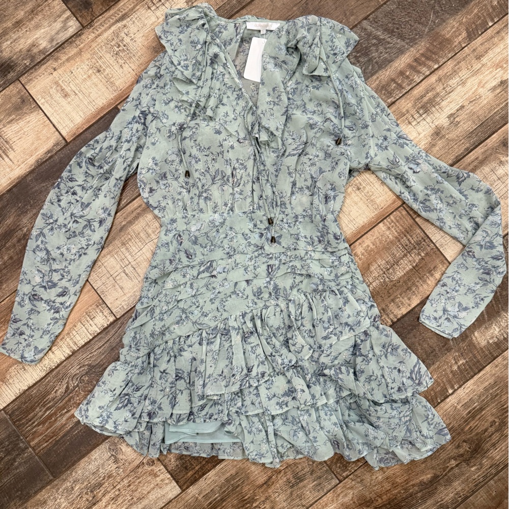 NWT Olivaceous Long Sleeve Ruffled Tired Romantic Mink Dress Size Small